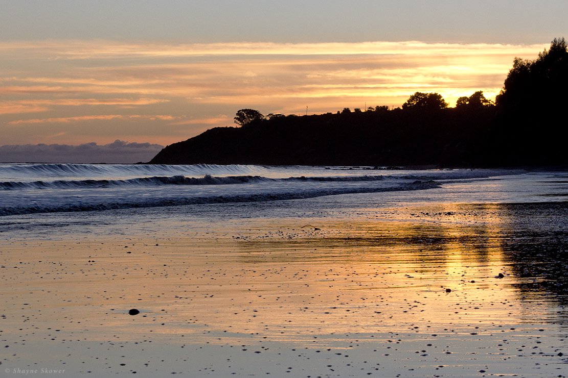 The Golden Coast photograph by Shayne Skower